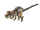Ancient Remnant
