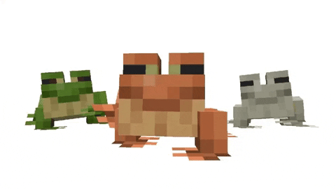 I tried to do the frog from the Biome Vote (gifs make the texture look bad)  : r/Minecraft