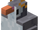 Royal Penguin