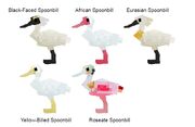 NamedSpoonbills