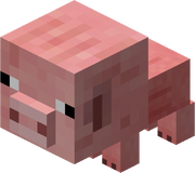 BabyPig