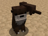 Otter