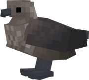 Skua