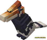 Horb