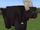 Buffalo