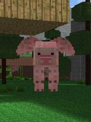 Flying Pig