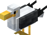 Seagull