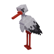 Stork