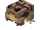 Rain Frog