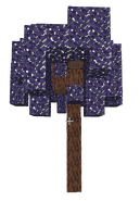Jacaranda Tree