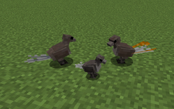 3 lyrebords