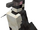 Galápagos Penguin