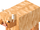 Highland Cow