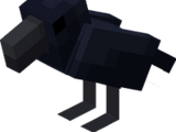 Crow