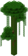 Jungle Tree