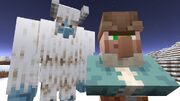 Yeti