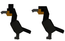 Cormorants