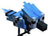 Blue Jay