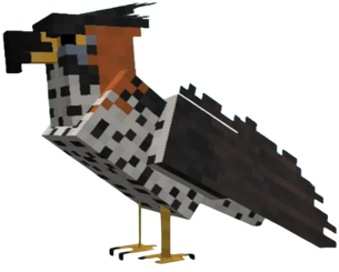 Hawk-Photoroom