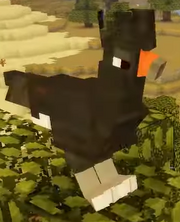 A curassow