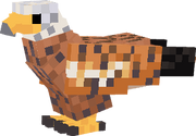 Kite