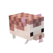 Hedgehog