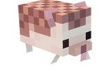 Hedgehog