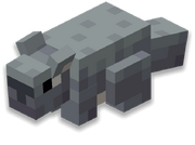 Chinchilla
