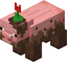 MuddyPig