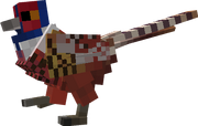 Pheasant