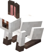 MuddyFootRabbit
