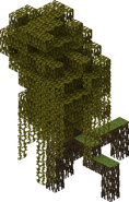 Mangrove Tree