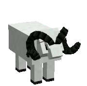Severalsheep.gif