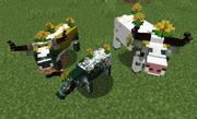 Genetic Mooblooms.png