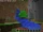 Alpha v1.0.15
