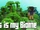 This is my Biome