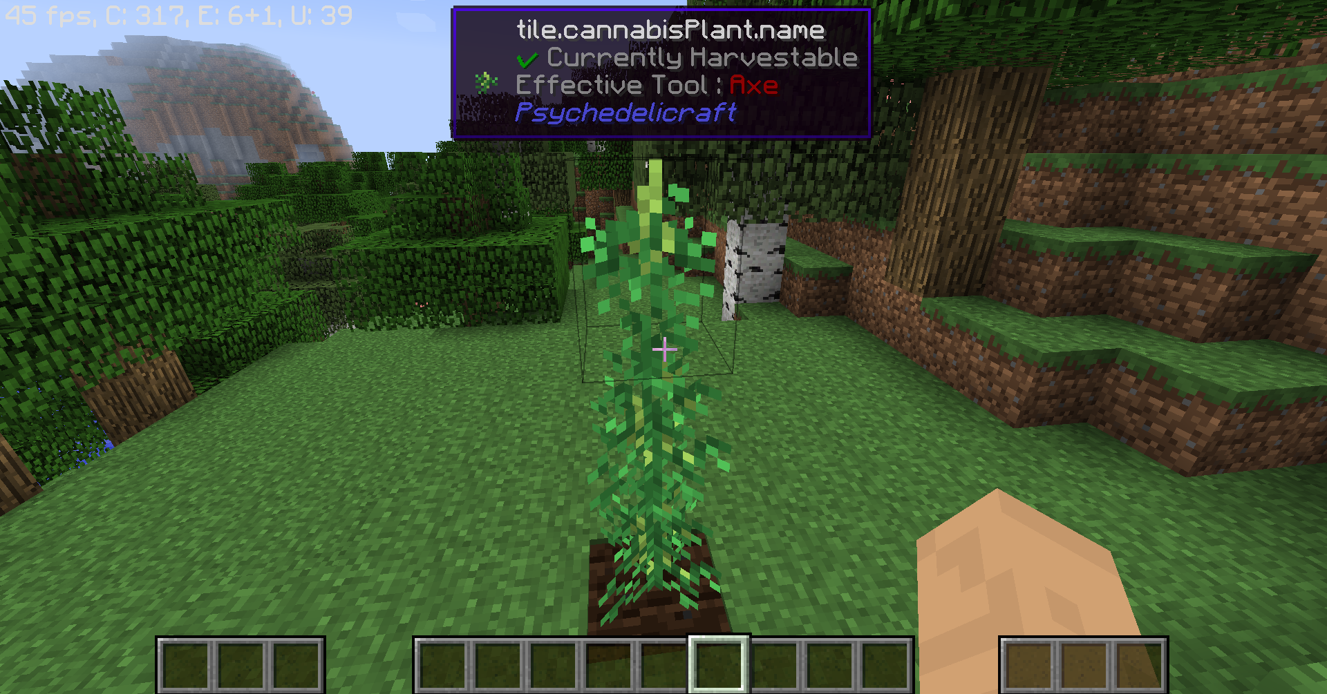 Plantação de maconha mal sucedida no Minecraft O. X IN bi MD dp