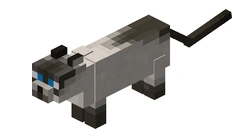 Entity Cat | Minecraft: The Haunted Wiki | Fandom