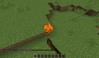 Minecraft set sale 0