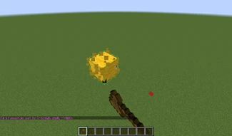 First position is set.