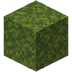 Moss Block.png