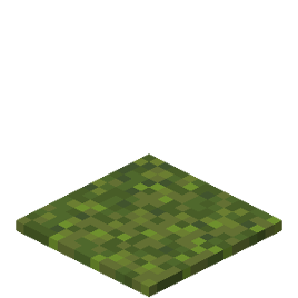 Moss Blanket