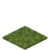 Moss Blanket.png