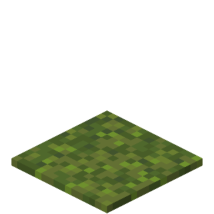 Moss Block in Minecraft