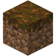 PodzolNew.png (11 KB) New podzol texture.