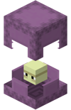 Click for full Shulker gallery.