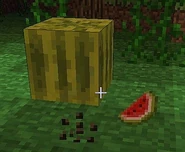 A melon, a melon slice, and melon seeds.