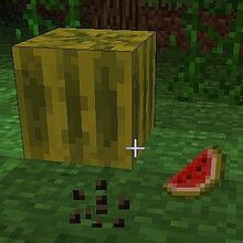Melon Minecraft Wiki Fandom