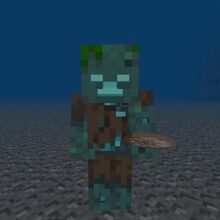 Nautilus Shell Minecraft Wiki Fandom