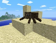 A spider in Alpha 1.2.0.